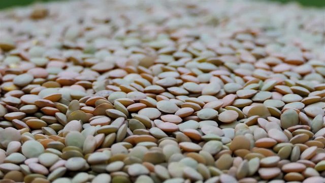 Heap of green lentils rotating in slow motion. Rotation of a Brown Lentil. Macro Lentil 4k. dietry food background. gourmet and organic food concept. Drinks and food background. gastronomy video.