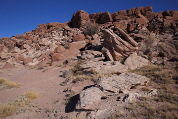 eroded rocks in petrified forest NP
