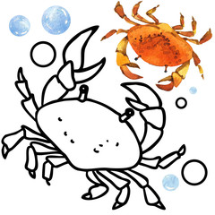 hand-drawn illustration of watercolor animals of underwater world