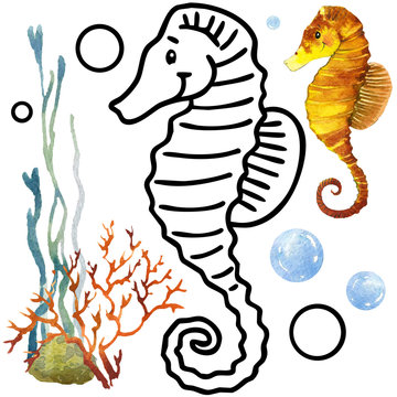 hand-drawn illustration of watercolor animals of underwater world