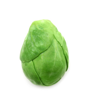 Fresh Brussels sprout isolated on white