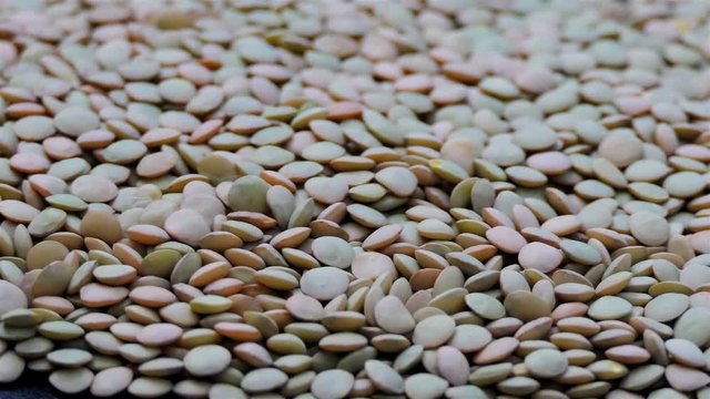 Heap of green lentils rotating in slow motion. Rotation of a Brown Lentil. Macro Lentil 4k. dietry food background. gourmet and organic food concept. Drinks and food background. gastronomy video.