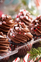 Chocolate peppermint cupcakes with candy cane