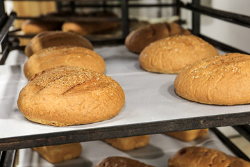 Loaves of bread on shelving in bakery
