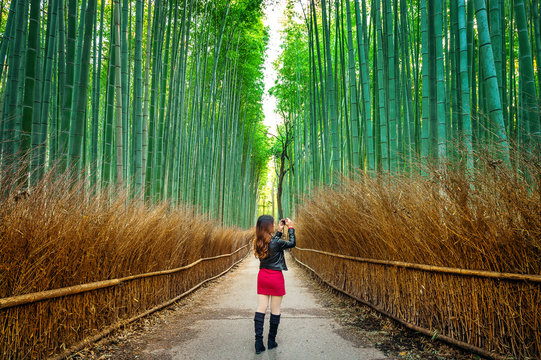 Woman take a photo at Bamboo Forest in Kyoto, Japan.