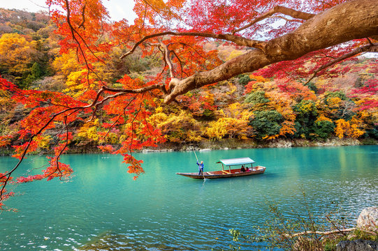 Fototapeta Boatman punting the boat at river. Arashiyama in autumn season along the river in Kyoto, Japan.