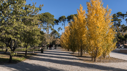 Retiro park in the city of Madrid