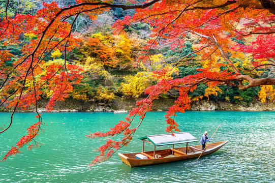 Boatman punting the boat at river. Arashiyama in autumn season along the river in Kyoto, Japan.