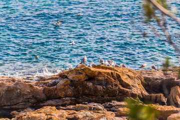 Coastline in Thassos island, greece