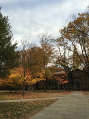 Obraz premium Autunm Princeton