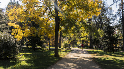 Jogging in the Retiro Park in the city of Madrid