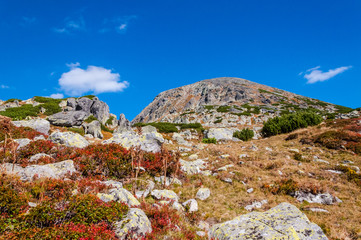 Retezat mountains landscape