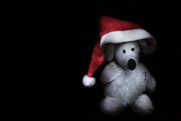 Mouse wearing santa hat.