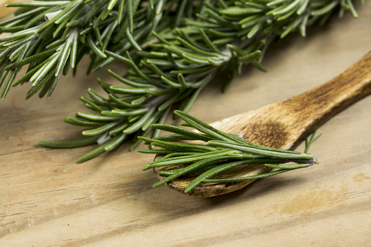 Fresh Rosemary 
