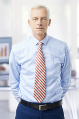 Professional senior businessman standing at office