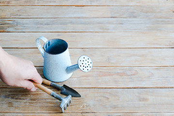 Gardener hand picking rake is gardening tools and vintage blue watering can on wooden background.