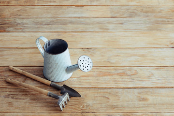 Vintage blue watering can and small garden tools on wooden background.