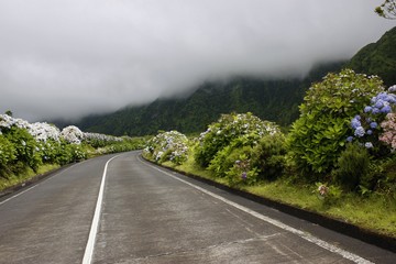 São Miguel - Açores