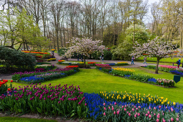 Plakat Spring in the park