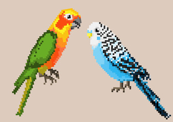 Pixel parrots isolated on a background.