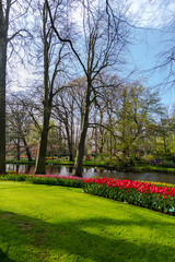 Spring in the park