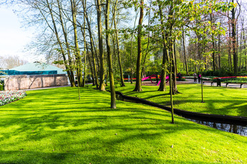 Fototapeta premium Springtime in the park