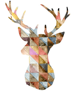 Watercolor deer illustration. 