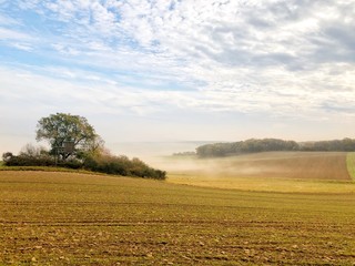 Eifel Feld