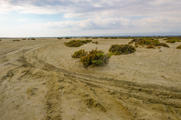 Track in the desert with tyre marks and scrubby growth.