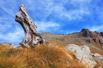 Autumn landscape in Adamello - Presanella Alpine Group, Italy, Europe