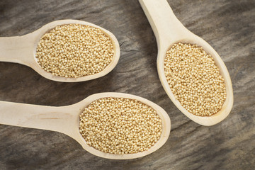 Amaranth seeds - Amaranthus