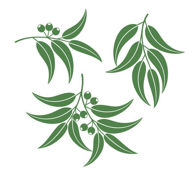 recommend clip art: Eucalyptus set. Isolated eucalyptus on white background