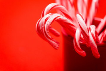 Close up of a red mug holding Christmas candy canes on a red background.