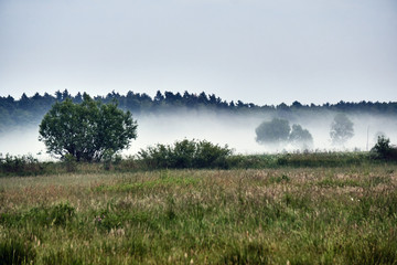 Village landscape with streaks of mist in Poland.