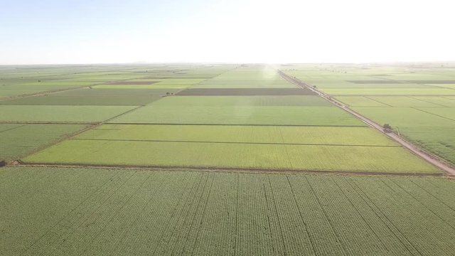 Campo y agricultura Sinaloa Mexico