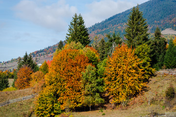 Fototapeta premium Autumn landscape