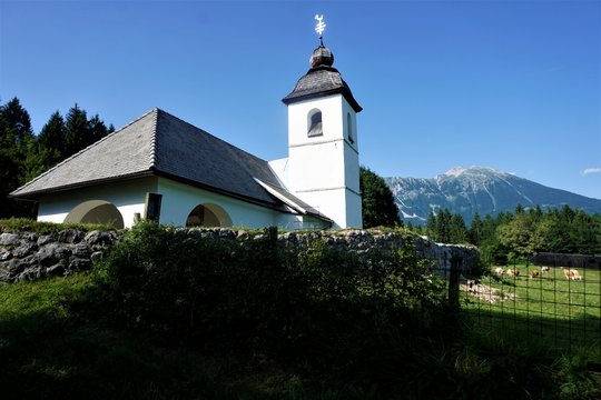 Katharinen-Kirche mit Bergen und Kühen  in Zasip nahe Bled