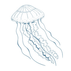 Hand drawn jellyfish. Vector illustration.