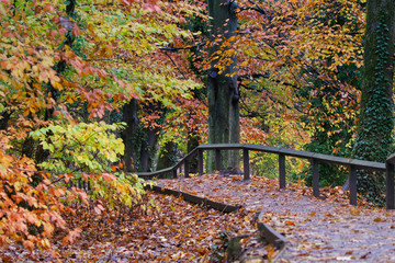 Fototapeta na wymiar Autumn path