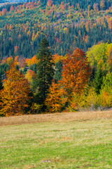 Fototapeta premium Autumn landscape