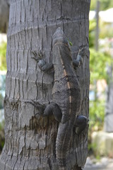 Here are some of the photos I took when I went to Riu Palace Hotel in Guanacaste, Costa Rica. Hope you enjoy them!