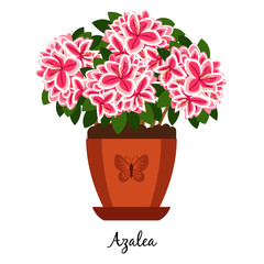 Azalea plant in pot icon