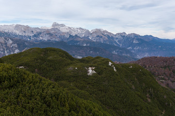 Pigmy pine forest and mount Triglav in the distance