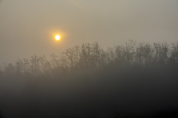 Il disco giallo del sole alza nella nebbia nebbiosa del mattino