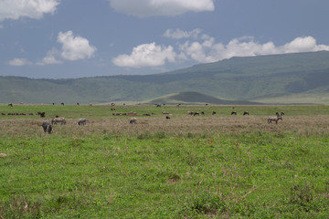 Ngorongoro Crater View