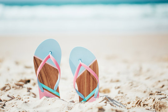 Slipper Images Browse 140 952 Stock Photos Vectors and Video Slipper Images Browse 140 952 Stock Photos Vectors and Video