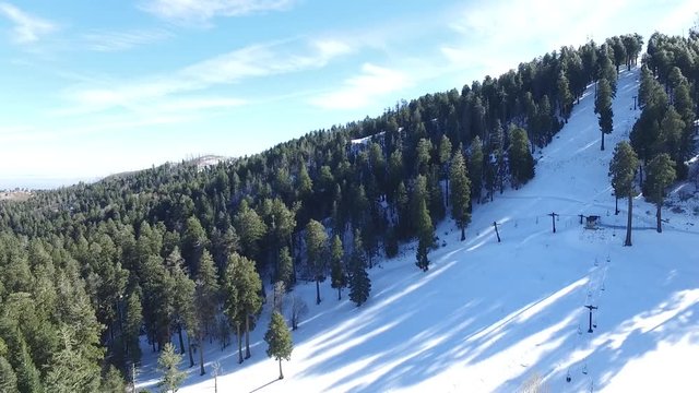 Mont Lemmon Arizona monta&ntilde;as pinos