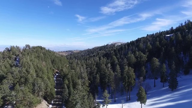 Mont Lemmon Arizona monta&ntilde;as pinos