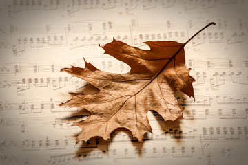 autumn leaf