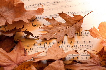 autumn melody